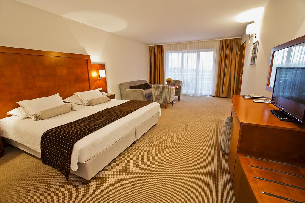 Spa & Wellness Hotel Pinia Малинска Стая снимка